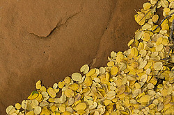 �������� � �������. ��������� <���������>