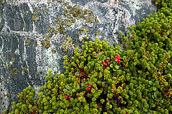 �������� � �������. ��������� <���������>