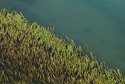 �������� � �������. ��������� <���������>