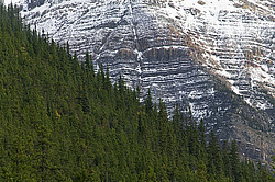 �������� � �������. ��������� <���������>