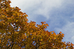 �������� � �������. ��������� <���������>