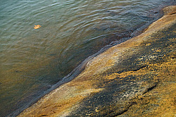 �������� � �������. ��������� <���������>