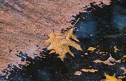 �������� � �������. ��������� <���������>