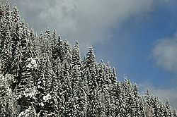 �������� � �������. ��������� <���������>