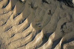 �������� � �������. ��������� <���������>