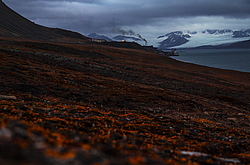 ������� ������� ����������, ��������� ���������� ( ��������)