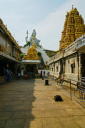 �������� ��������, ����������� ����. ���������, ���������, �����. ������  2014 ����.