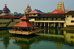 ���� ��� ��������. �������� �������� ������ � �����. �����, ���������, �����. ������ 2014 ����.