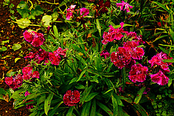 ������������ ��� � ���. ���, �������� ���� (�������), ����� ����, �����. ������  2014 ����.