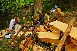 ������� ���������. ������� ����������� ����������, ������ �������,  ������� ������, �����