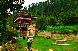 ���� ������ ���� (������ ���� ���). ������� ����������� ����������, ������ �������, ������� ������, �����