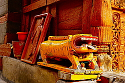 ������ ����. ���� ����� ������, ������, ������ ������������� ������, �����