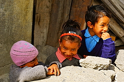 ����. ������� ����, ������ ������, ������� ������, �����