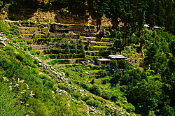 ������� �� ������� ������ ������� ���������� ����� � �������� ��������. ������� ����, ������ ������, ������� ������, �����