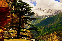 ������ �� ��������� ����� ������������ � �������� ������ ������ - ������ ��� ���� � �������. ������ ������, ������� ������, �����