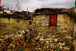 ������������ ���� � ����. ����, ������ ������, ������� ������, �����