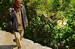 ������� �������. ������, ������ ����, ������� ������, �����