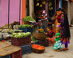 ������� ����� � ������. ������, ������ ����, ������� ������, �����