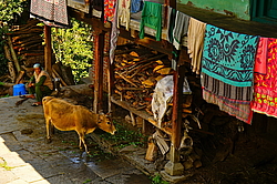 ������� ��������� ��������� �� ���������� �����. ������� �����, ������ ����, ������� ������, �����