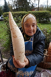  ����������� ������ ���� �� �����. �. ����� ����-��������� �-�� ����.���.