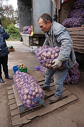  ������� ����������� ���������, ������� ����� ����� � ���������� �� ����. �. ����� ����-��������� �-�� ����.���.