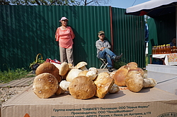 ���������� ������� ����� ����� �� �����. ���. �������, ����������� �-��, ���������� �������