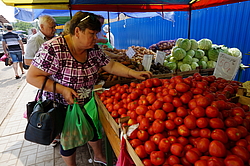 ������� �������� �������� �� �����. ������� �-��, ���������� �������