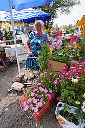 ������� ������ ��������� ������� �� �����. ���. �������, ����������� �-��, ���������� �������