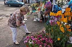 ������� ������������� ��������� ������� �� ������� �����. ���. �������, ����������� �-��, ���������� �������