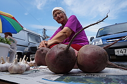 ������� ������ ������ �� ������ ������� �� �����. �. ������� ������� �-��, ���������� �������.