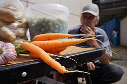 ������� ������ �������, ������, ��������� � ��������� �� ������ ������� �� �����. �. ������� ������� �-��, ���������� �������.