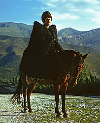 �����, ��������