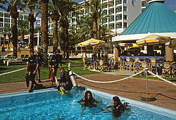 �����, �������