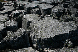 ���� ����������, ������ ����, 2011