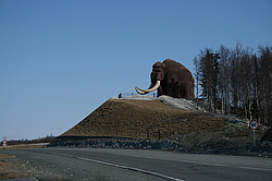 ��������, ���