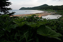 ����� �������, ���������� �������, ��������� ������ - �������� ����