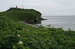 ����� �������, ���������� �������, ��������� ������ - �������� ����