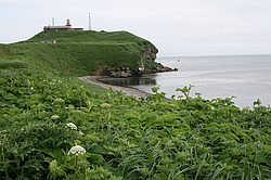 ����� �������, ���������� �������, ��������� ������ - �������� ����