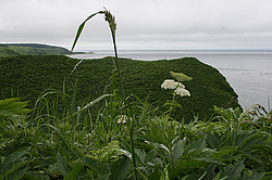 ����� �������, ���������� �������, ��������� ������ - �������� ����