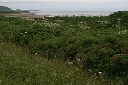 ����� �������, ���������� �������, ��������� ������ - �������� ����