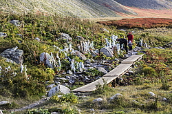 ������ �����, ������ �� ����� ����