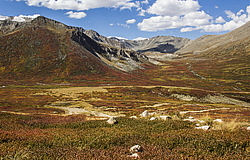 ������ �����, ������ �� ����� ����