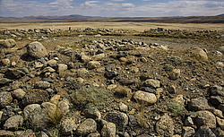 ������ �����, ����� ����