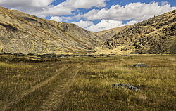 ������ �����, ����� ����