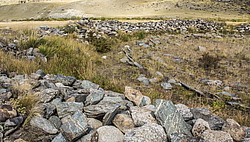 ������ �����, ����� ����