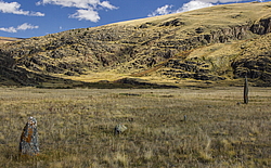 ������ �����, ����� ����