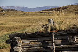 ������ �����, ����� ����