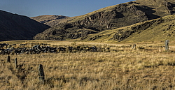 ������ �����, ����� ����