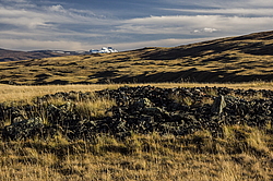 ������ �����, ����� ����