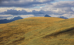 ������ �����, ������� ���������